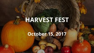Harvest Fest & Pumpkin Patch 2017