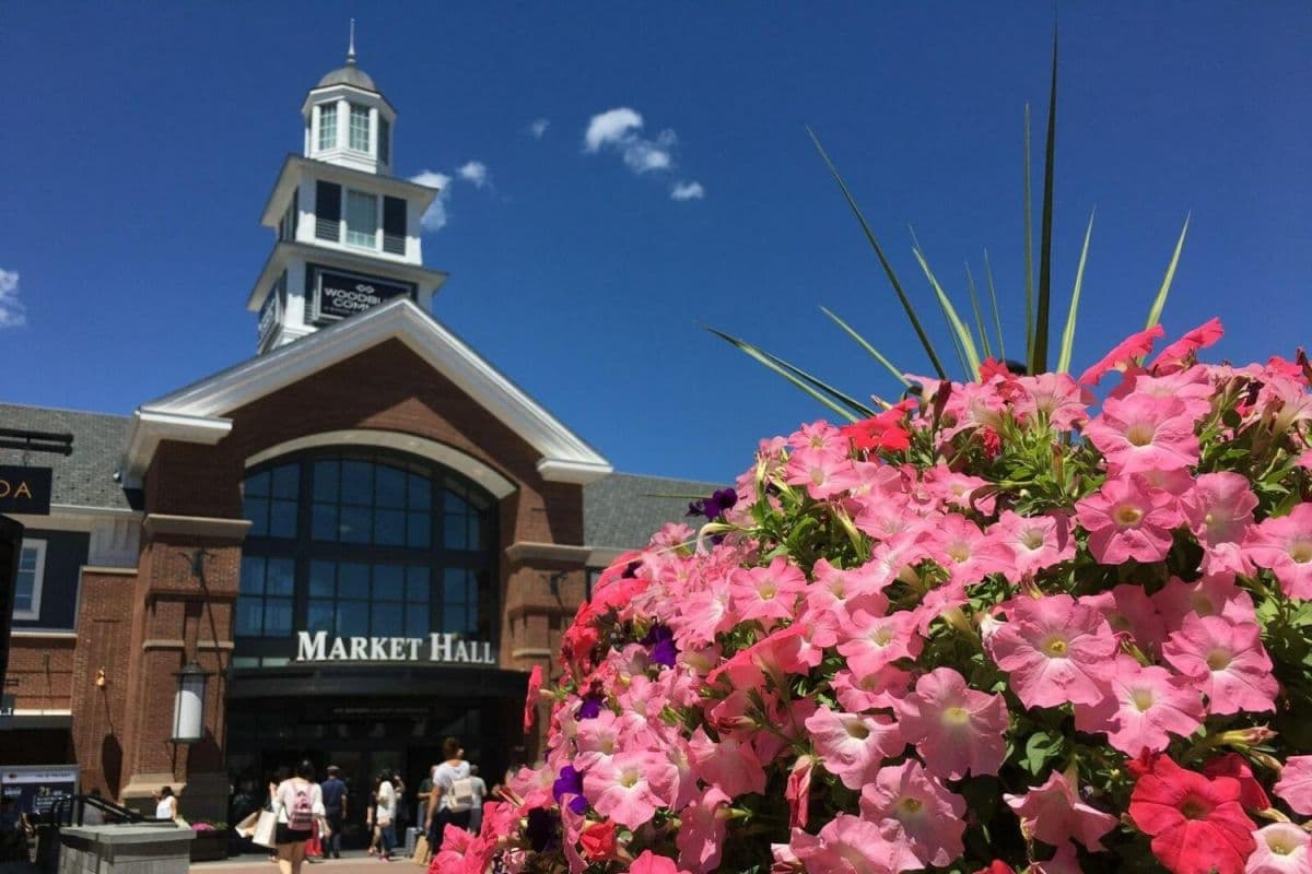 large Woodbury VOLATOUR