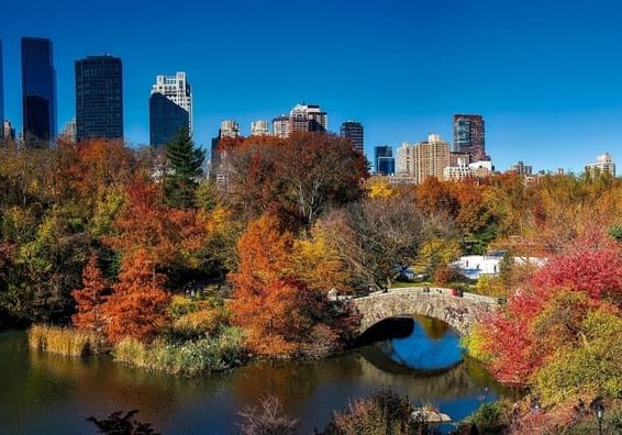 central-park-1804588_1920 (1)